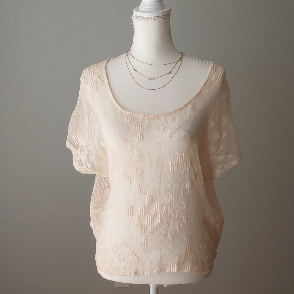 Embroidered Pure Silk Sheer Top